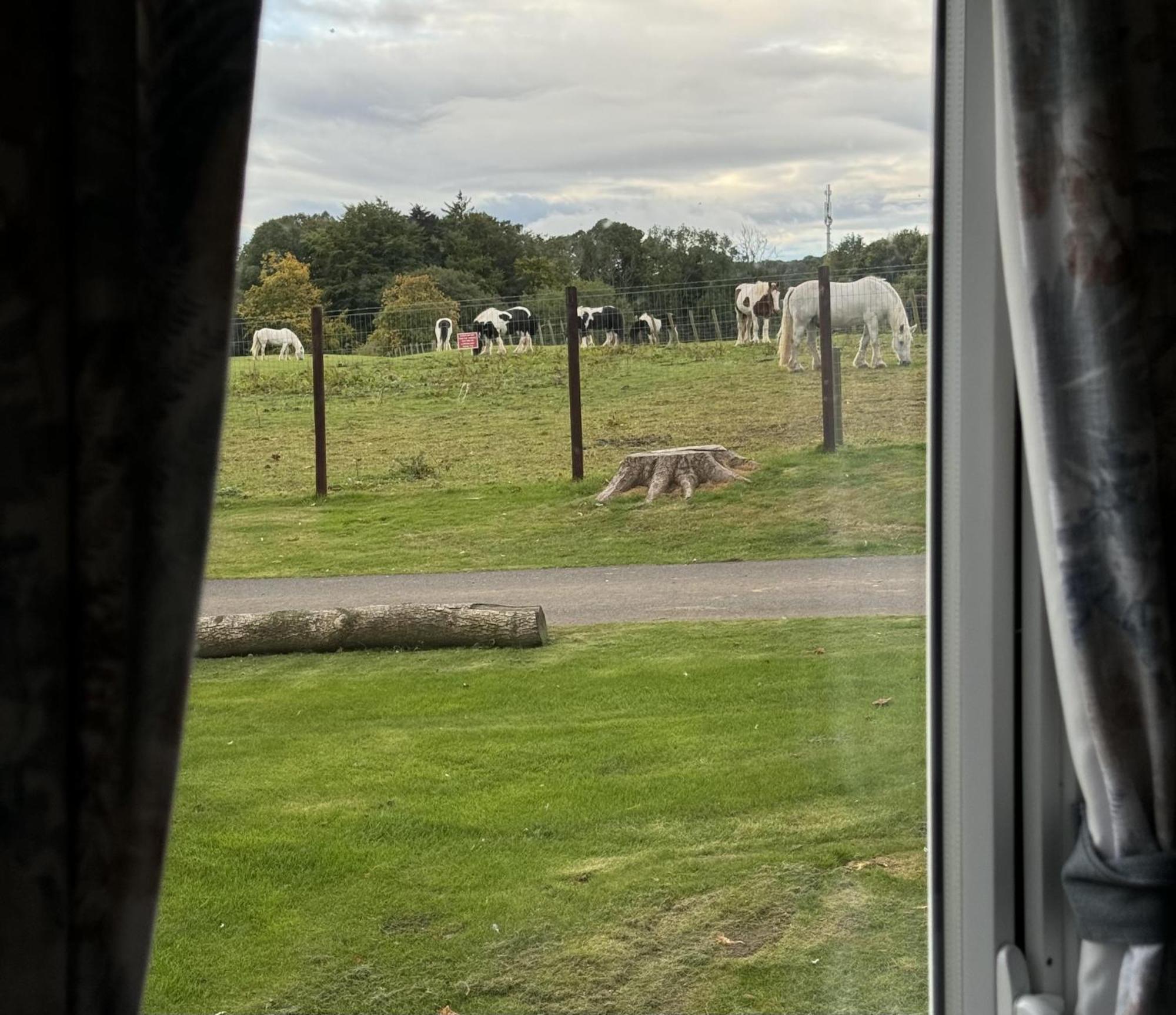 Pony Gate Caravan On Haggerstone Castle West Lawn Бервик-апон-Твид Экстерьер фото